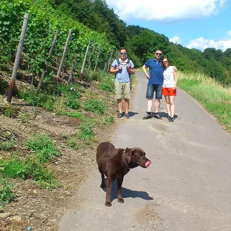 贝尔斯坦旅馆 招待所 拜尔施泰因