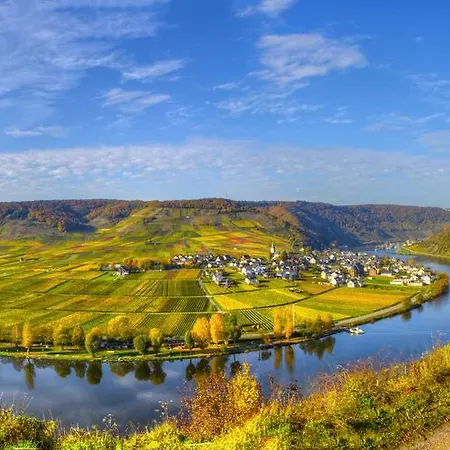 贝尔斯坦旅馆 3* 拜尔施泰因