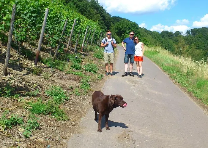 Villa Beilstein Πανσιόν Beilstein (Rhineland-Palatinate)
